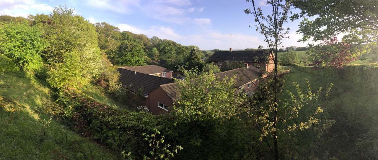 Yellowham Farm, Dorchester Higher Bockhampton Bagian luar foto